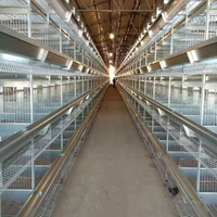 Système de cage à poules pondeuses automatique en acier galvanisé de type H à 4 niveaux avec collecte des œufs et élimination du fumier