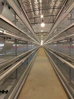 Système de cages avicoles de type H pour poules pondeuses, cages automatiques pour élevage en batterie, cages pour poulailler