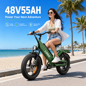 D55 <b>Electric</b> Bike Hydraulic Disc Brake 48V55Ah Battery 750W Motor 20" Fat Tire City Bike 240km OEM Custom - Product Image 1