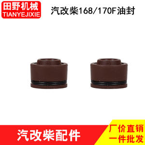 168F170F Piezas para motores diésel refrigerados por aire y motores de gasolina: Bomba de agua, Válvula de conversión de gasolina a diésel, Placas de bloqueo de asiento de válvula, Juntas de culata - Product Image 5