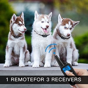Groothandel Dog <span class=keywords><strong>Training</strong></span> Collar Waterdichte Afstandsbediening Hond Opleiding Kraag Huisdier Elektrische Pieper Trillingen <span class=keywords><strong>Training</strong></span> Kraag Voor Hond - Product Image 6