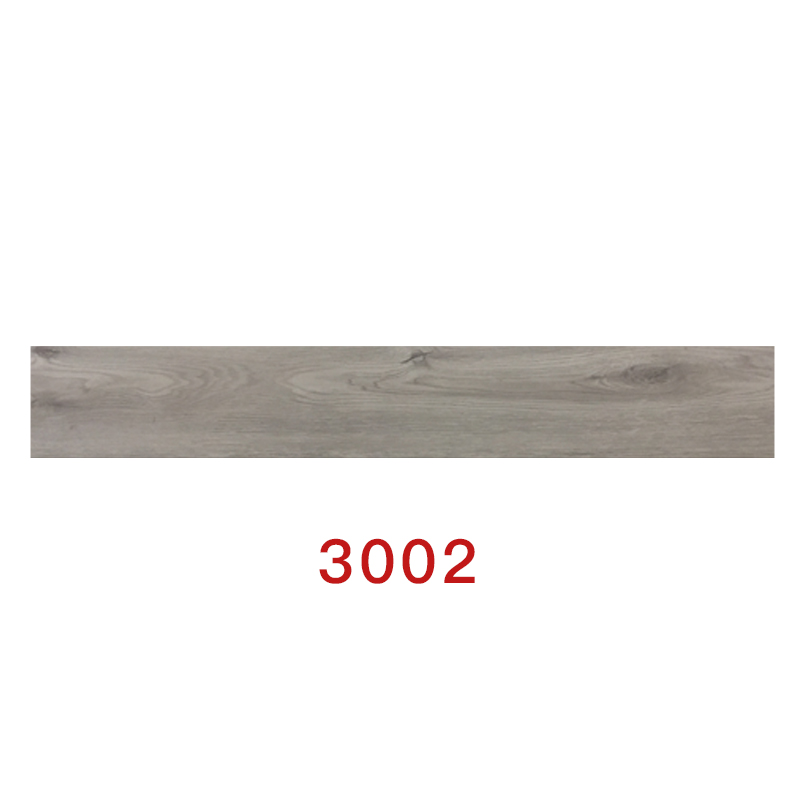 3002