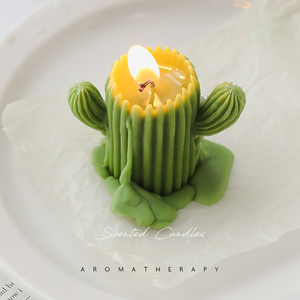 Velas Aromáticas de Cactus Artísticas de Alta Calidad, Más Vendidas, con Hermosa Caja de Color para Venta al por Menor en Boutiques - Product Image 2
