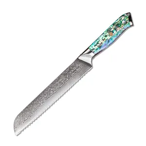 PAUDIN 8 Inch Damascus Chef Knife - Japanese High Carbon VG10 Steel, Full  Tang G10 Handle