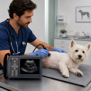 Ecógrafo Veterinario Portátil para Diagnóstico de Gestación en Ganado Vacuno, Ovino, Porcino, Equino y Animales Pequeños - Product Image 1