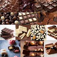 Température réglable 15--15 ℃    Enrobeuse de chocolat double couche compacte avec ventilateur de refroidissement pour framboises surgelées