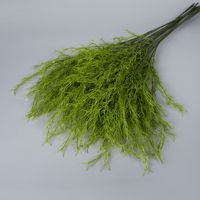 Tanaman Hias Asparagus Fern Buatan Grosir, Daun Hijau yang Dapat Dibengkokkan untuk Dekorasi Pernikahan Bertema Hutan