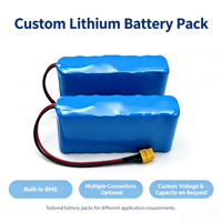 Batterie lithium-ion ODM 3.7V 7.4V 11.1V 14.8V 2500mAh 3000mAh 4000mAh rechargeable Li-ion 18650/21700 pour IOT