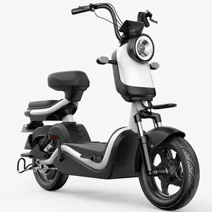 Made in china parti elettriche motore del mozzo grasso pneumatico adulto bangladesh 48V 450W bicicletta elettrica