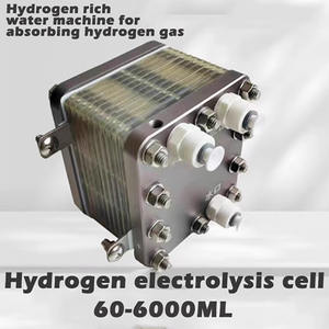 Générateur de bain d'électrolyse à hydrogène d'eau pure PEM de 1500ml pour ballons à hydrogène avec caractéristique spéciale de cheveux raides - Product Image 5