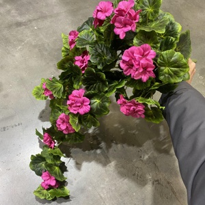 Geranio artificial de flores de seda de alta calidad para decoración del hogar - Product Image 6