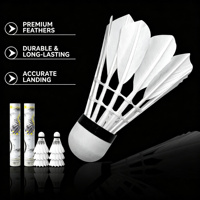 Volant de badminton en plumes d'oie haute durabilité, écologique, pour entraînement en salle, club, tournoi professionnel, blanc