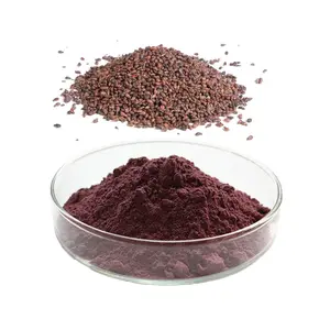 80% 85% 95% Grapeseed Grape Seed Extract OPC Powder Polyphenol