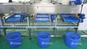 OG-606 Multi-Sử Dụng Con Lăn Học Sinh Lớp Cam Bơ Khoai Tây Cà Chua Trái Cây Rau Phân Loại Và Phân Loại Máy - Product Image 5