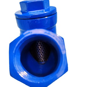 Filtre à filetage interne en fonte ductile 1 pouce NPT pour filtration sous pression, équipement de filtration d'eau - Product Image 4
