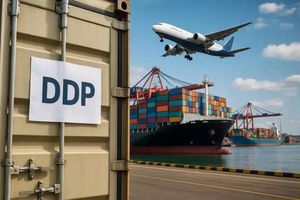 Conteneurs de fret maritime, service UNIQUE, DDP, DDU, LCL, FCL, logistique intégrée de toutes les villes chinoises vers l'Australie, TOUS les départements - Product Image 5