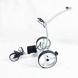Planche de chariot de golf