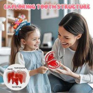 MILI dentiste Table médicale ensemble jouets en plastique éducation expérience interaction simulée semblant jouer <span class=keywords><strong>docteur</strong></span> Kit jouet jeu de rôle - Product Image 5