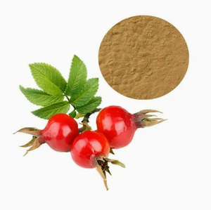 Di alta qualità estratto di rosa canina in polvere organico puro rosa rosa estratto <span class=keywords><strong>5</strong></span>%-25% VC rosa canina in polvere per uso alimentare per la vendita - Product Image 4