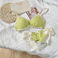 Set Bra Tanpa Kawat Berenda untuk Wanita, Push Up untuk Payudara Kecil, Minimizer untuk Payudara Besar, Tipis, Manis, Imut, Set Lingerie Pembentuk Tubuh