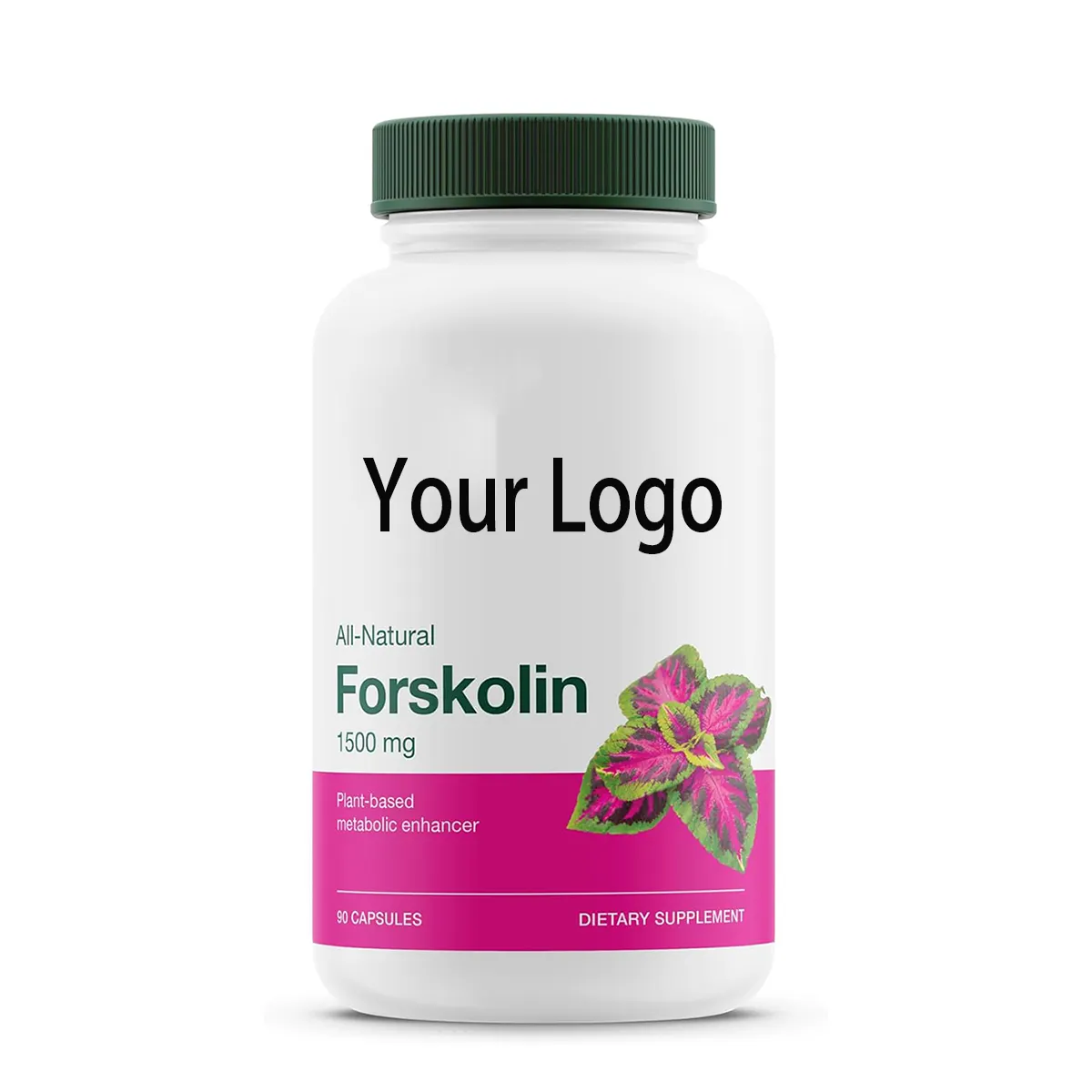 Suppléments nutritionnels OEM Pilules amaigrissantes Extrait de forskoline Perte de poids Capsules de forskoline ultra pures