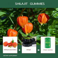Gummies de Shilajit en Gros 75% Acide Fulvique Marque Privée Gummies de Shilajit Purs pour Végétaliens Amélioration Antioxydante Boost d'Énergie