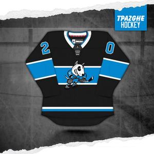 Patrón de Costura para Camiseta de Hockey en Blanco al por Mayor BETHERIVAL 2018 - Product Image 3