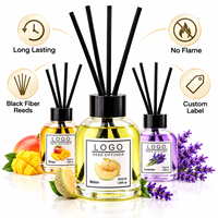 Diffuseur d'arômes moderne de 55 ml en verre rond pour huiles essentielles de fruits, bâtonnets parfumés pour la maison, désodorisant d'ambiance pour chambre à coucher, décoration parfumée