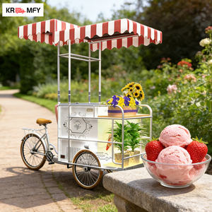 Chariot de vente ambulante de crème glacée avec congélateur à poussée manuelle - Product Image 2