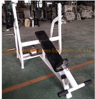 Banc de musculation inclinable professionnel pour salle de sport, multifonctionnel, en acier tubulaire, pour musculation