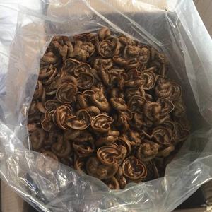 Gag Cadeaux Nouveauté Faux Caca Faux Chien Caca Halloween Nouveauté Jouets Blague Réaliste <span class=keywords><strong>Merde</strong></span> Caca Fake Turd Perfect Gag Gift Prank Gift - Product Image 6