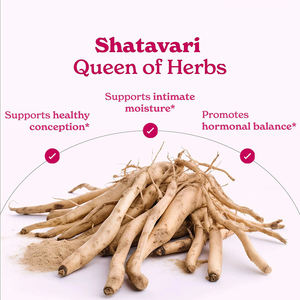 OEM suplemen SHE-LAJIT batang madu organik 85 + jejak energi Mineral SHE-LAJIT batang madu - Product Image 6