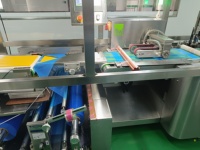 Machine d'emballage horizontale à haute efficacité RHBB830 pour le pain, les biscuits, le chocolat, les bonbons
