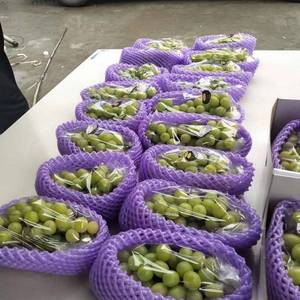 Kleurrijke Geëxpandeerde Schuim <span class=keywords><strong>Fruit</strong></span> <span class=keywords><strong>Net</strong></span>-Geschenkverpakking Voor Citrus/Appel, Fda Goedgekeurd - Product Image 3