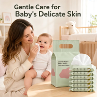 Lingettes humides pour bébé de qualité supérieure, 99% d'eau purifiée, non parfumées, hypoallergéniques, individuelles, pour les voyages, le nettoyage des mains et de la bouche des nourrissons