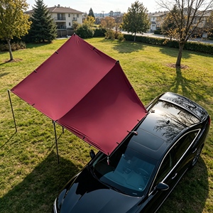 Tettoia per Auto Impermeabile, Copertura per Parcheggio Auto Facile da Montare per Esterni, Vendita all'Ingrosso - Product Image 3