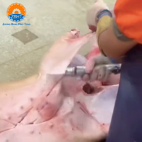 Couteau à dépecer pneumatique haute vitesse, lame en acier inoxydable 304, équipement de transformation de la viande pour abattoirs de bovins, ovins et porcins
