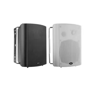 XIDLY-two-way sound system 20W,30W,40W Two Way Voice Wall Mounting Audio Wall Mount Speaker 100w For Light Music