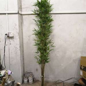 Nouvelle Collection 2026 : Plante Artificielle <span class=keywords><strong>Bambou</strong></span> Chanceux en Plastique, Idéale pour l'Intérieur et l'Extérieur, Décoration Paysagère - Product Image 6