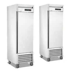 ETL Certification Manufacturer Commercial Refrigerator Single Door Stainless Steel Vertical Freezer