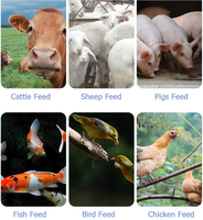 Machine de fabrication d'aliments pour animaux de 200-300 kg/h, machine à granulés pour aliments de volaille, pour fermes d'élevage