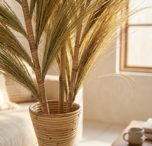 Handmade Eco-Friendly Natural Rayung <b>Dried</b> <b>Grass</b> Decorative Pampas Style Vase Filler for Mother's Day Graduation Home Decoration - Product Image 5