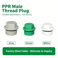 Bouchon PPR à filetage extérieur, bouchon obturateur pour tuyau d'eau, raccord de test de pression, raccord de tuyau en plastique à filetage extérieur