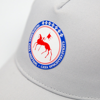 Gorras Trucker Promocionales de Tela de Algodón con Logotipos Personalizados por Transferencia de Calor al por Mayor