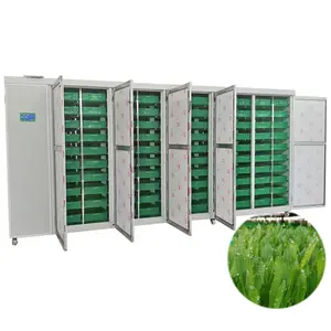 500Kg/Dag Alfalfa Kweeksysteem Kast Indoor Hydrocultuursysteem Voor Groenten En Voer