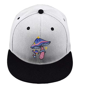 Casquette Snapback personnalisée 100% acrylique avec logo d'équipe, casquette de baseball à visière plate bicolore style hip-hop, casquette snapback 6 panneaux - Product Image 4