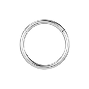 Anneau <span class=keywords><strong>de</strong></span> <span class=keywords><strong>nez</strong></span> rond sans soudure en titane G23, simple, électroplaqué, pour hommes et femmes, bijou <span class=keywords><strong>de</strong></span> piercing <span class=keywords><strong>de</strong></span> <span class=keywords><strong>nez</strong></span> à <span class=keywords><strong>boucle</strong></span> fermée - Product Image 4
