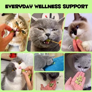 Oimmal - Snacks de Hierba Gatera para Gatos, Control de Bolas de Pelo, Salud Bucal, Natural, Orgánico, Fresco, Liofilizado, al por Mayor - Product Image 6