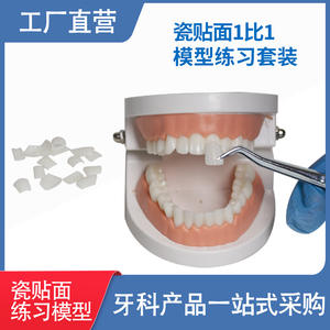 Modelo de Carillas Dentales con Funciones de Adhesión y Remoción para Prácticas de Enseñanza de Simulación, Equipo Educativo - Product Image 2