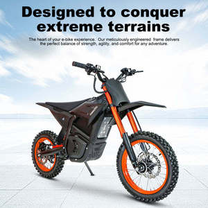 長寿命高品質大人用電動ダートバイク48Vミニ電動ダートバイク電動自転車電動ダートバイク - Product Image 4